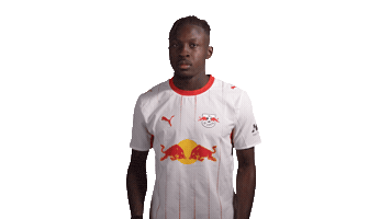 Red Bull Cooking Sticker by RB Leipzig