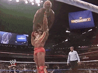 Ultimate Warrior Sport GIF by WWE