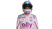 Alex Bowman Nascar Sticker by AllyRacing