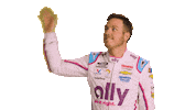 Alex Bowman Nascar Sticker by AllyRacing