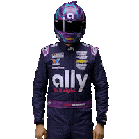 Alex Bowman Nascar Sticker by AllyRacing