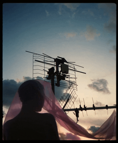 andrewschembri giphyupload GIF