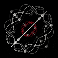 Design Revolving GIF by xponentialdesign