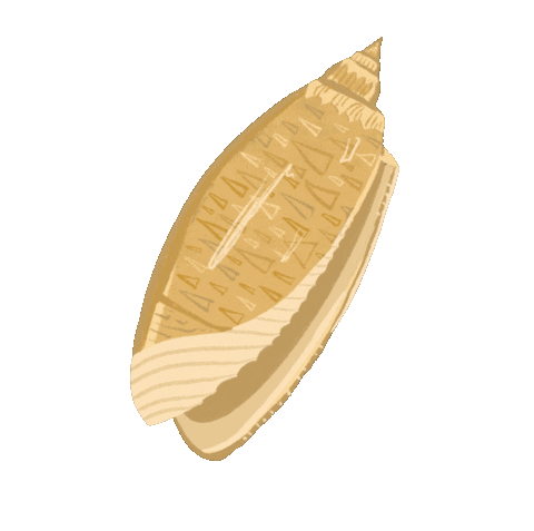 Beach Shell Sticker