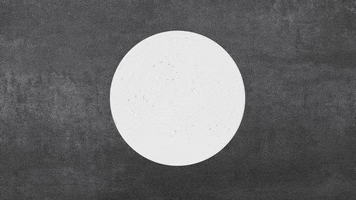 Black And White Loop GIF by A. L. Crego