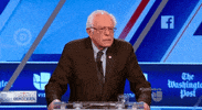 squinting bernie sanders GIF by Univision Noticias