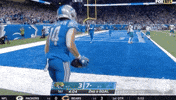 Detroit Lions Football GIF by NFL