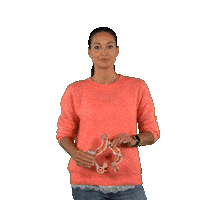 vitamelle detox melanie darmgezondheid melaniebraat Sticker