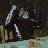 doopiidoo bear rage forest anger GIF