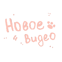 bekissed bekissed Sticker