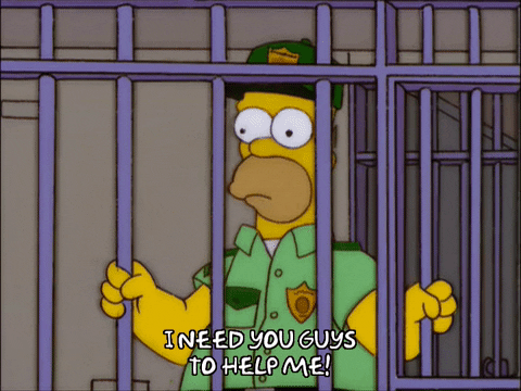 homer simpson episode 22 GIF