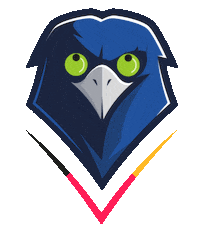 Seattle Seahawks Nfl Sticker by German Sea Hawkers