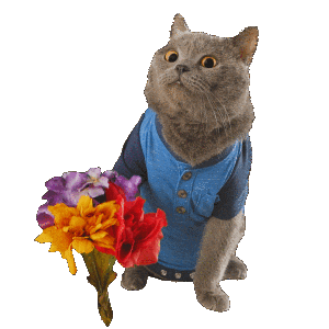 Prince Michael Love Sticker