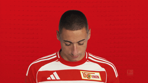 Union Berlin Ljubicic GIF by Bundesliga
