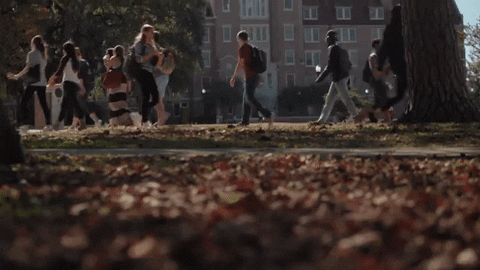 college class GIF by Florida State University
