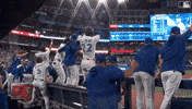 Celebrate Home Run GIF by Toronto Blue Jays