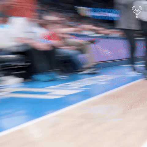 Giannis Antetokounmpo Sport GIF by Milwaukee Bucks