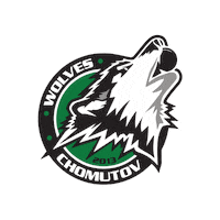 WolvesChomutov team wolves chomutov hokejbal Sticker