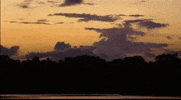 Werner Herzog Sky GIF