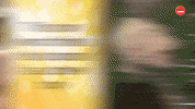 Dogs Pets GIF by BuzzFeed