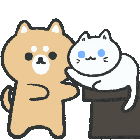 jindaychen giphyupload cat dog hello Sticker