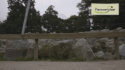 Back To School GIF by Planckendael