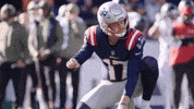 Football Nfl GIF by New England Patriots