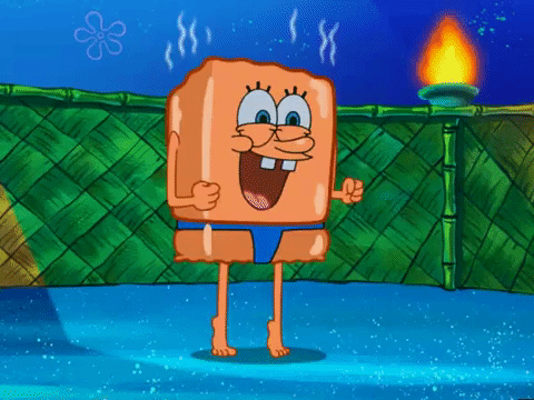 season 6 GIF by SpongeBob SquarePants