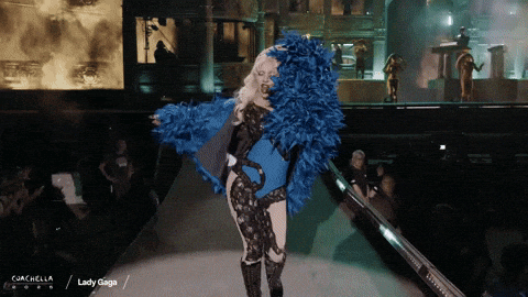 giphy.gif