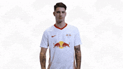 This Is Cool Love It GIF by RB Leipzig