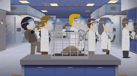 Infectious Disease Randy Marsh GIF by South Park