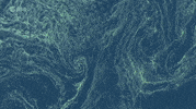 climate change animation GIF