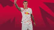 Come On Sport GIF by RB Leipzig
