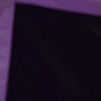 Samurai Pizza Cats Stefan GIF