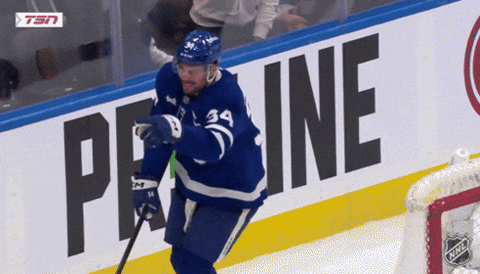 Happy National Hockey League GIF by NHL