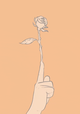 Cucksillustrations flower digital rose ink GIF