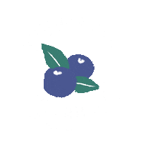 Nutrient Sticker by Better Than Raw