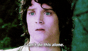 i cant do this lord of the rings GIF