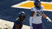 College Football GIF by WVU Sports
