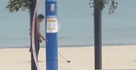 seotor_7 giphyupload GIF