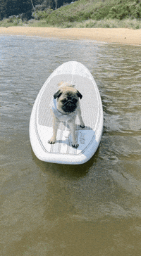 Summer Chilling GIF