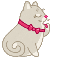 Cat Cartoon Sticker by Iconka