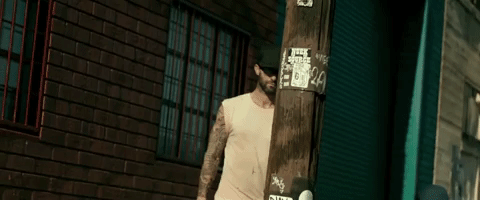 maroon5 giphydvr animals maroon 5 giphym5animals GIF