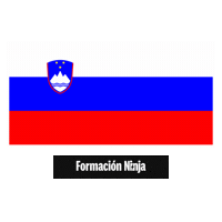 Flag Pixel Art Sticker by Formación Ninja