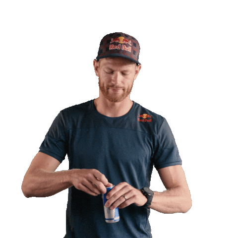 Tesswester Sticker by Red Bull