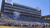 Mountaineers Football App State GIF by Appalachian State University