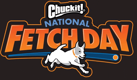 ChuckitFetchGames giphygifmaker nfd chuckit nationalfetchday GIF