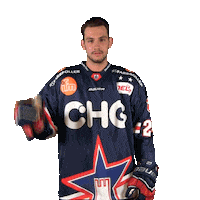 Ice Hockey Dancing Sticker by Ravensburg Towerstars