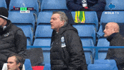 Happy Football GIF by MolaTV