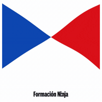 Castilla-La Mancha Flag GIF by Formación Ninja